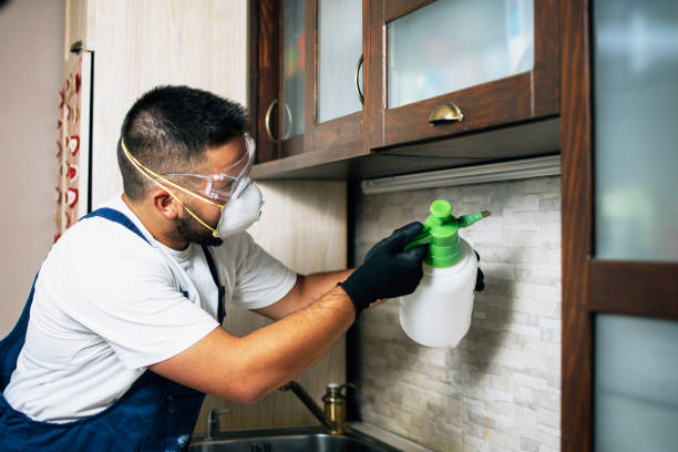 Best Emergency Pest Control  in Fairview Park, OH