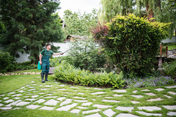 Best Pest Prevention Services  in Fairview Park, OH
