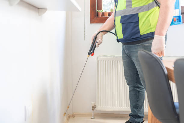Best Wasp Removal Services  in Fairview Park, OH