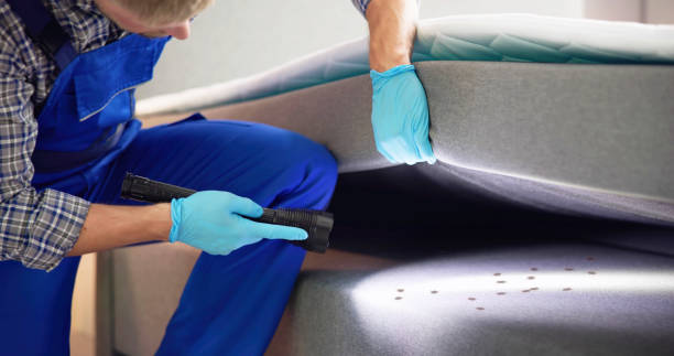 Best Pest Inspection Near Me  in Fairview Park, OH